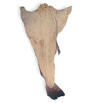 PEIXE DE BACALHAU DO PORTO 11/15 INTEIRO GADUS MORHUA